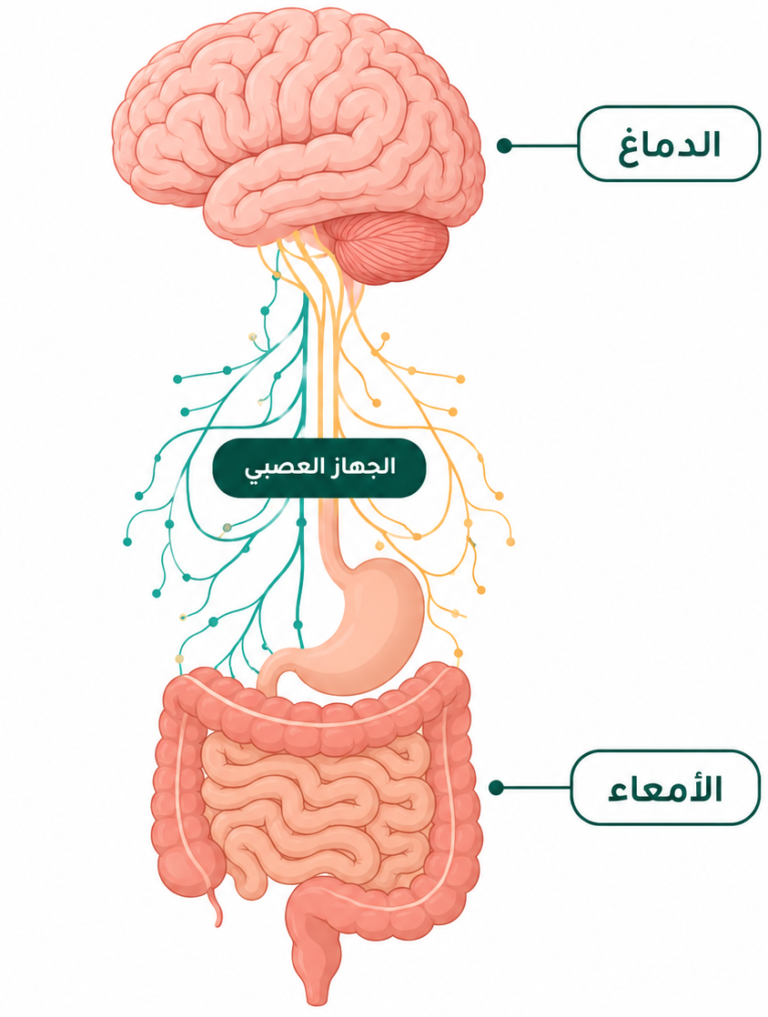 هيربولايف اليمن لوشن جاستروزين hyrbolife yeme lotion GastroZEN